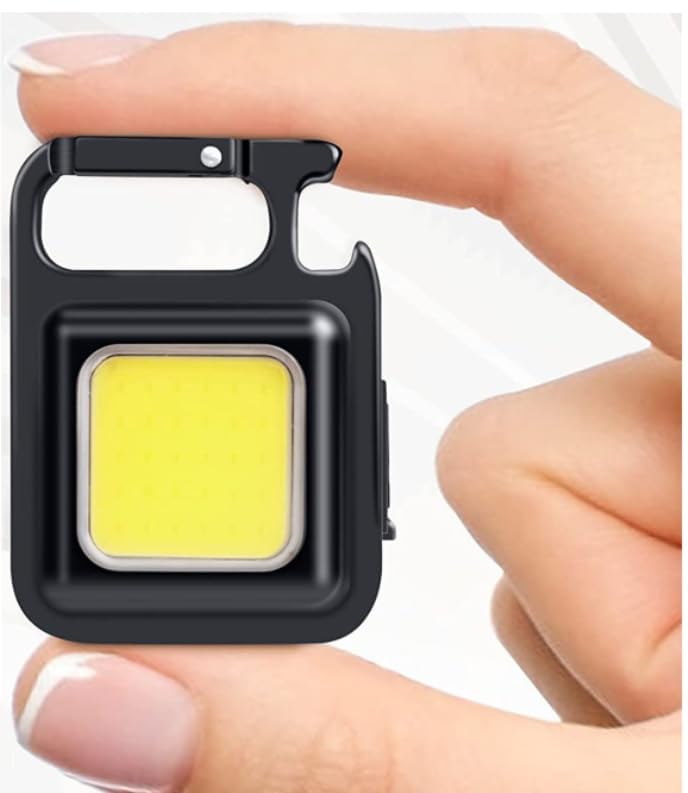 LED Keychain Light (TR-222)