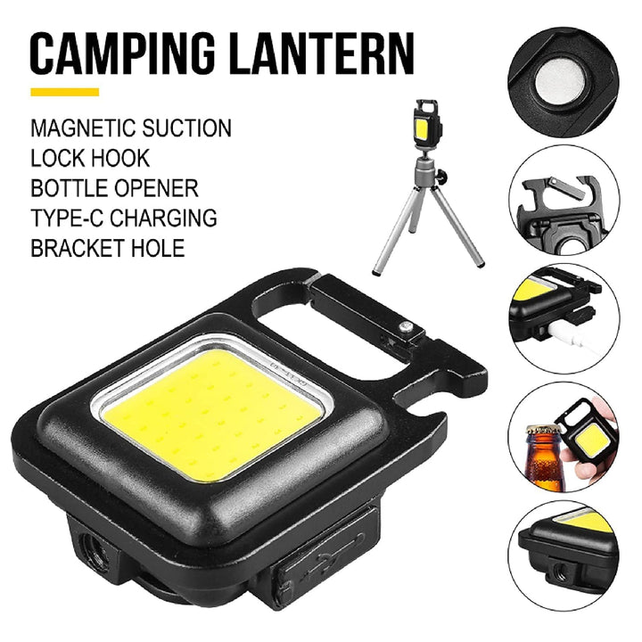 LED Keychain Light (TR-222)