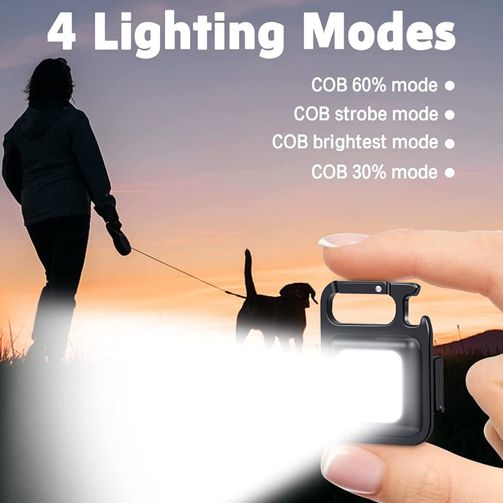 LED Keychain Light (TR-222)
