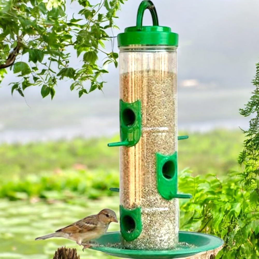 Bird Food Feeder For Outdoor & Garden