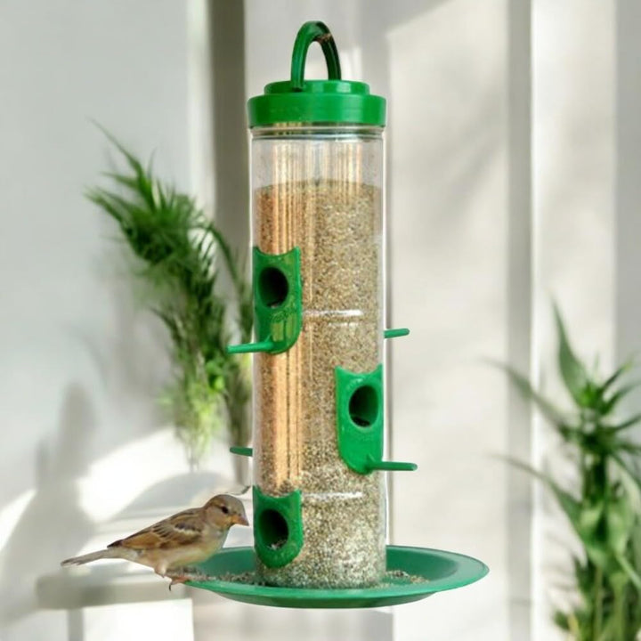 Bird Food Feeder For Outdoor & Garden