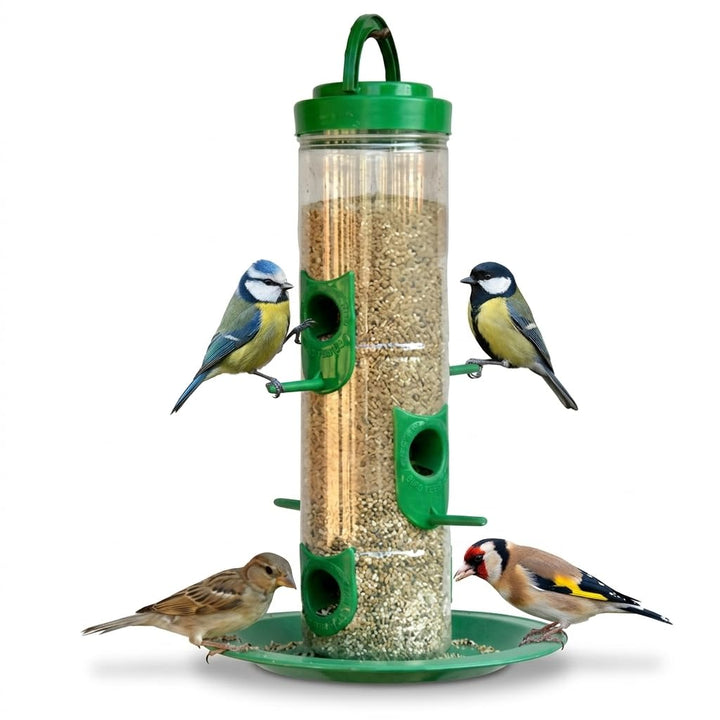 Bird Food Feeder For Outdoor & Garden