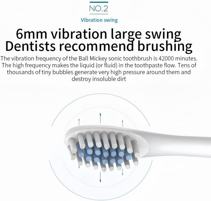 Sonic Electric Toothbrush with 6 Modes, 3 Brush Heads, 1 Interdental Head