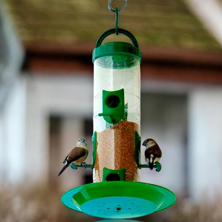 Bird Food Feeder For Outdoor & Garden