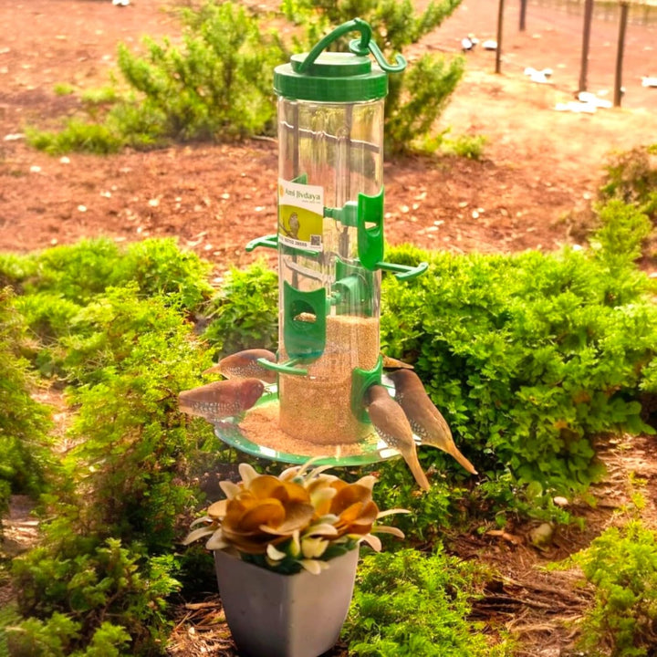 Bird Food Feeder For Outdoor & Garden